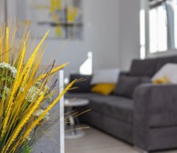 Apartments