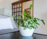 Apartments