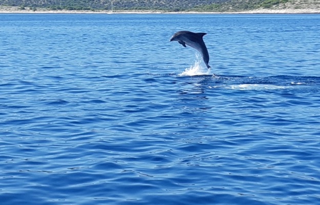 Boat tour National Park Kornati - Unique & Authentic