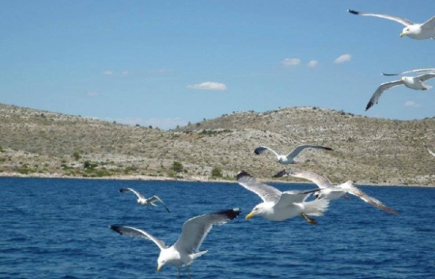 Boat Tour National Park Kornati - Telašćica 