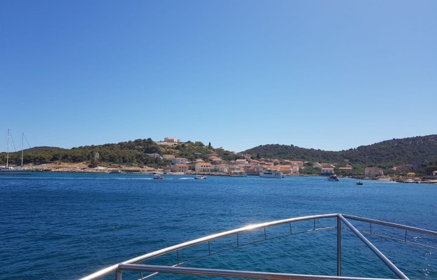 HALF DAY BOAT TOUR-DOLPHIN QUEST