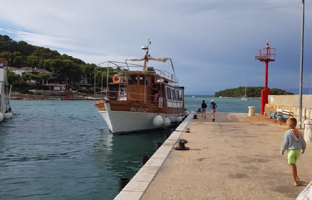 HALF DAY BOAT TOUR-DOLPHIN QUEST