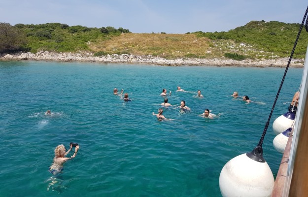 HALF DAY BOAT TOUR-DOLPHIN QUEST