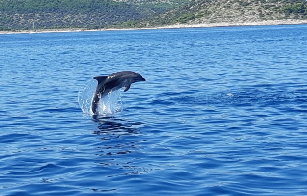 Boat tour Kornati  & Telascica, small group