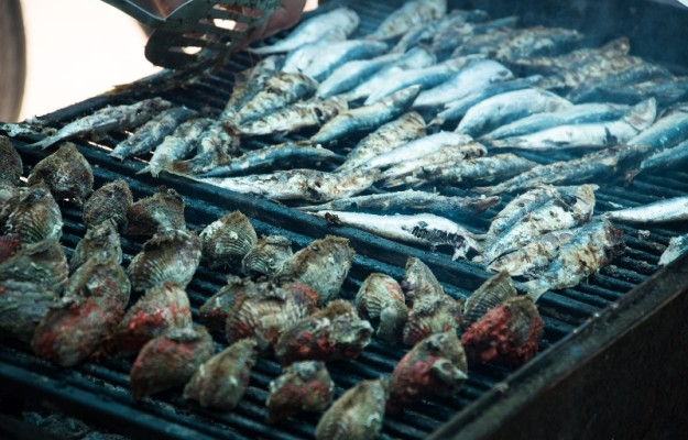 The Sea, Seagulls, Feasting and You