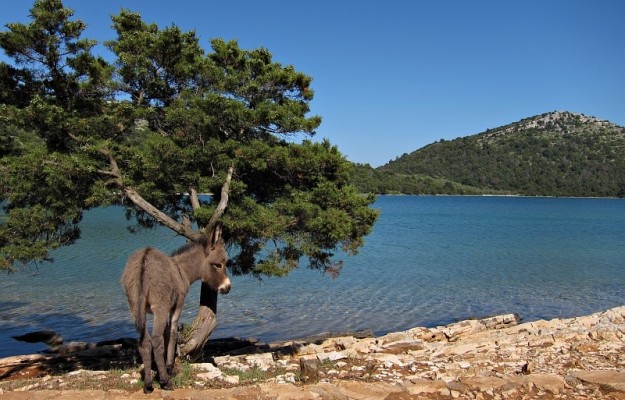 Boat Tour National Park Kornati - Telašćica 