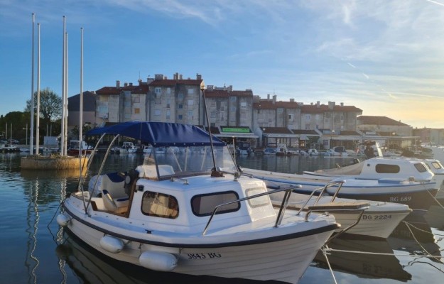 Kormoran 500