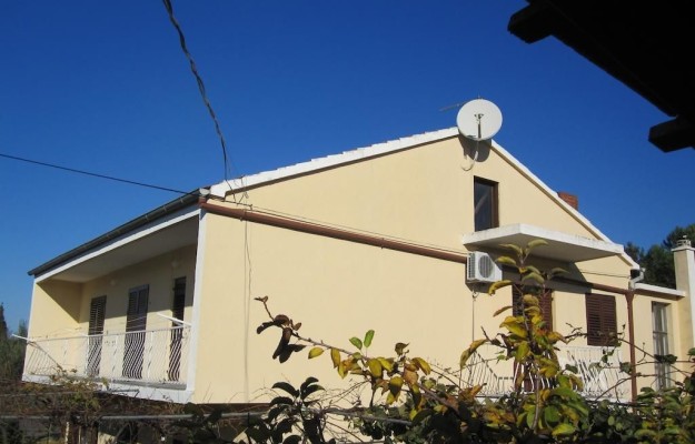 BNM 007